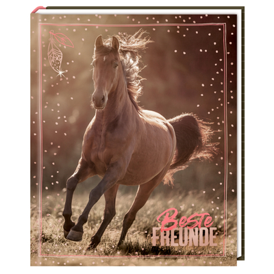 Freundebuch I LOVE HORSES - Beste Freunde (Foto)